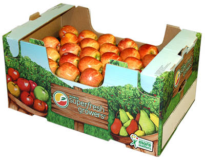 EURO DISPLAY APPLE BOX