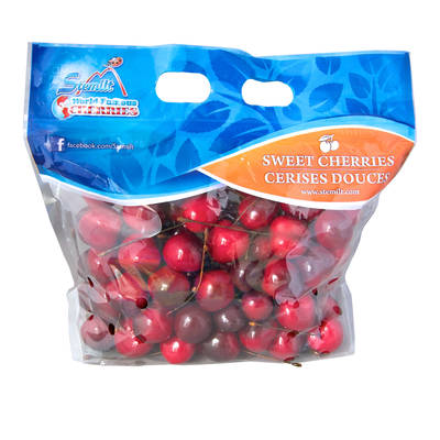 Pouch Bags