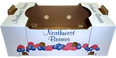 BLUEBERRY DISPLAY BOX