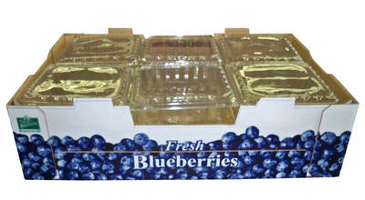 BLUEBERRY CLAMSHELL 