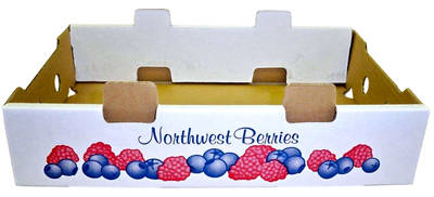 BLUEBERRY DISPLAY BOX